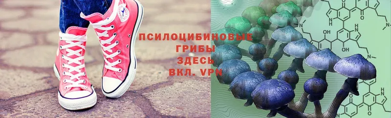 Псилоцибиновые грибы Magic Shrooms  Ступино 