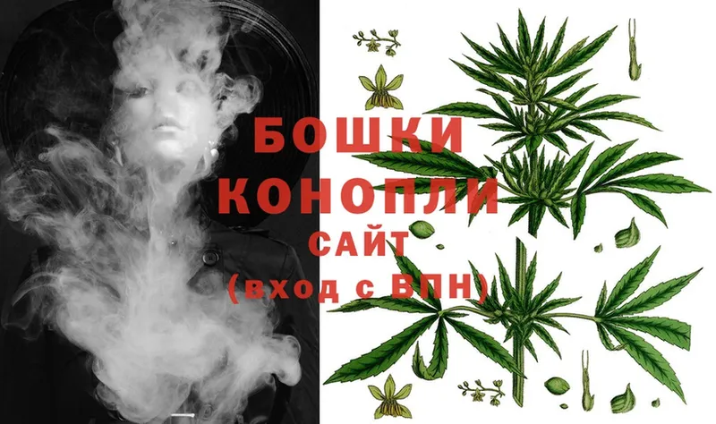 Конопля OG Kush  Ступино 